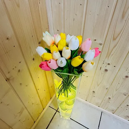 Espace Piscine Et Des Cortins ゲストハウス