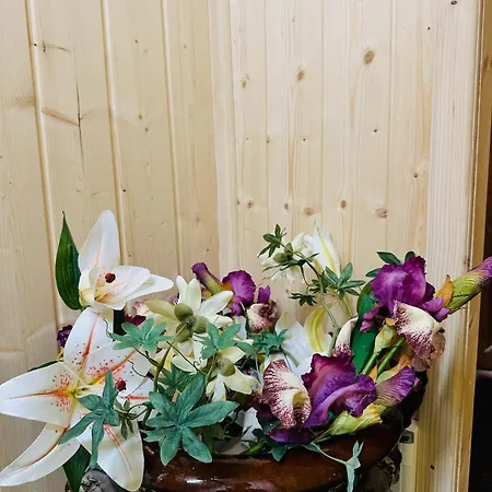 Espace Piscine Et Des Cortins ゲストハウス Dierrey-Saint-Julien